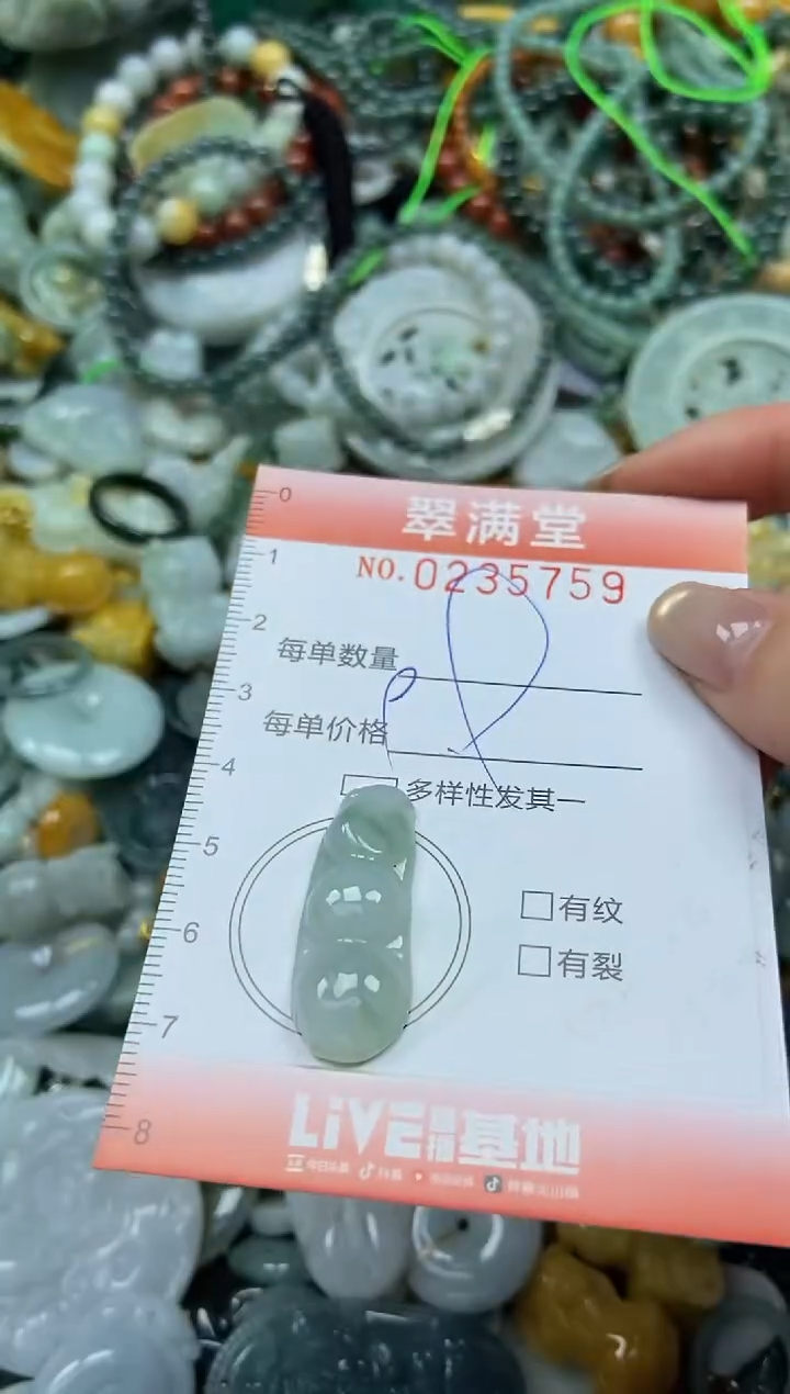 未镶嵌挂件翡翠闪购0235759