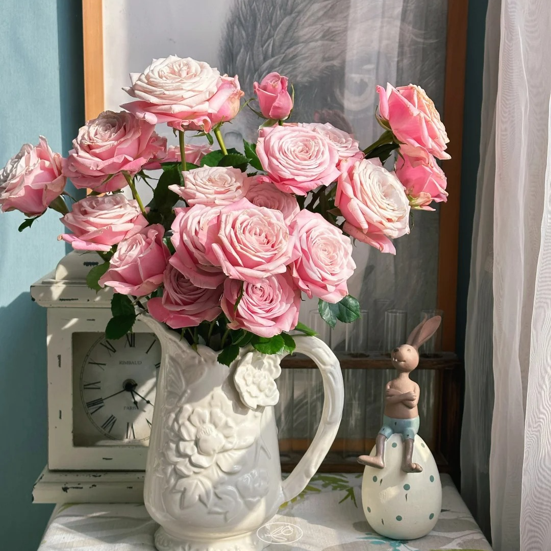 【半岛花铺】 姆齐娅小姐  稀有多头玫瑰 云南鲜花 两单升级顺丰