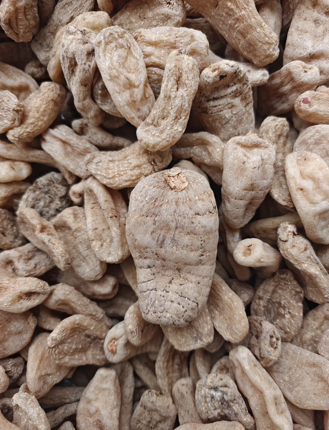 高山干天麻自然风干