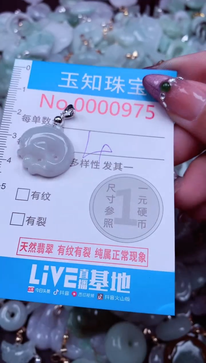 吊坠(不含链)未镶嵌翡翠975