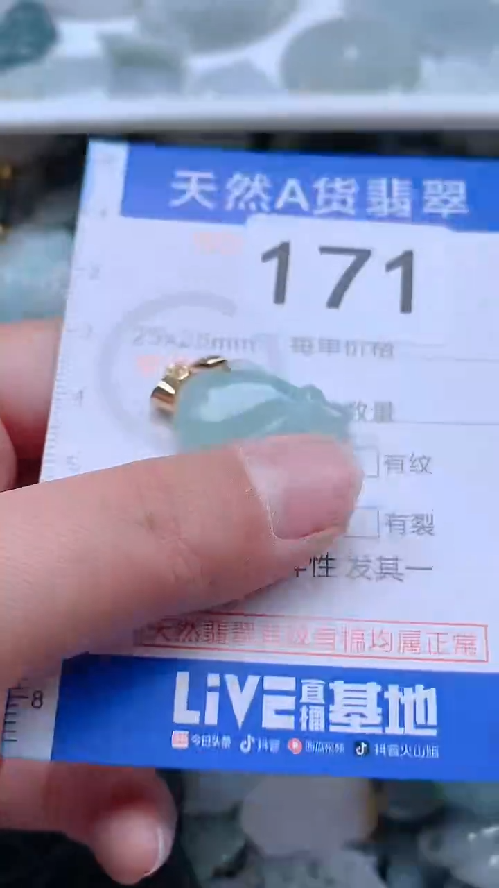 翡翠未镶嵌吊坠(不含链)1