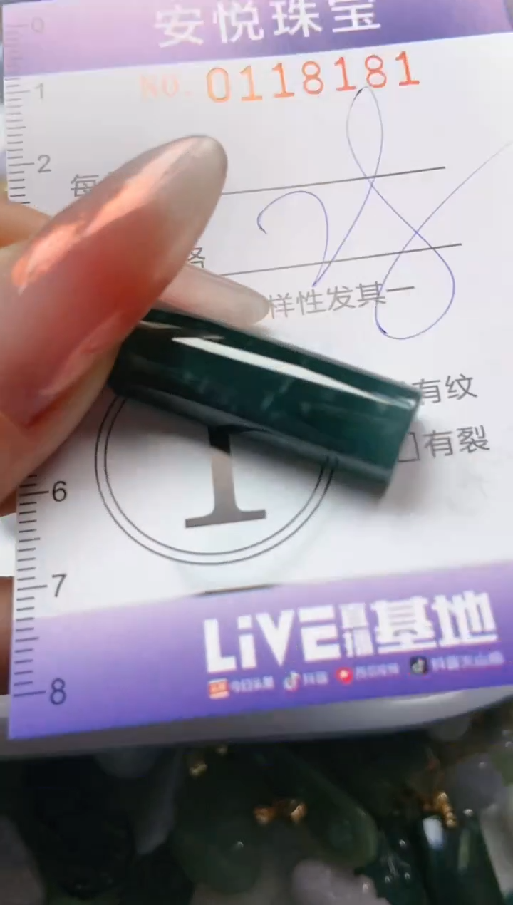 【闪购商品】翡翠颈饰未镶嵌闪购0118181