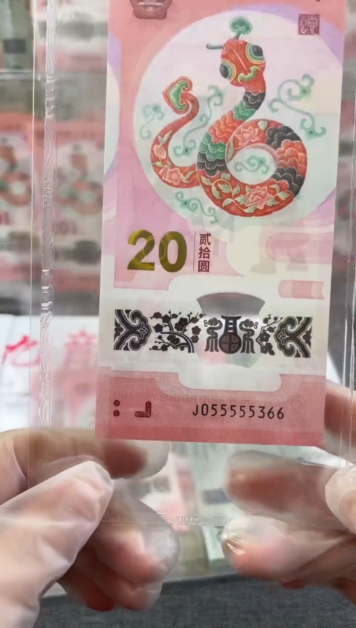 【闪购商品】塑料PMG蛇钞5个5头尾366