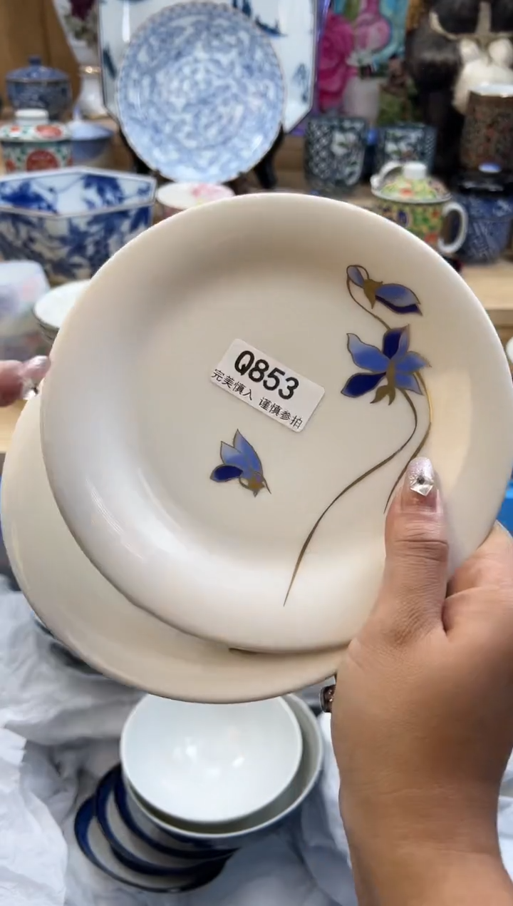 【闪购商品】瓷片853qqqqqqqqqqqq