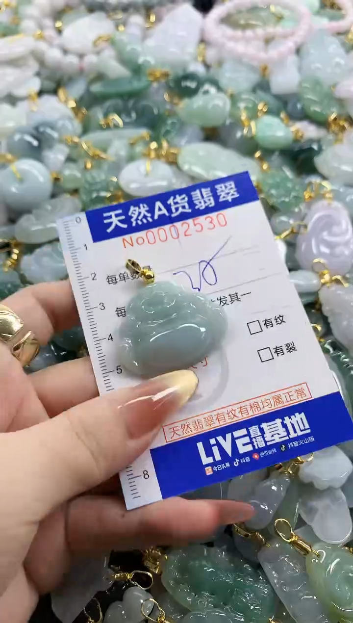 颈饰未镶嵌翡翠天然A货翡翠