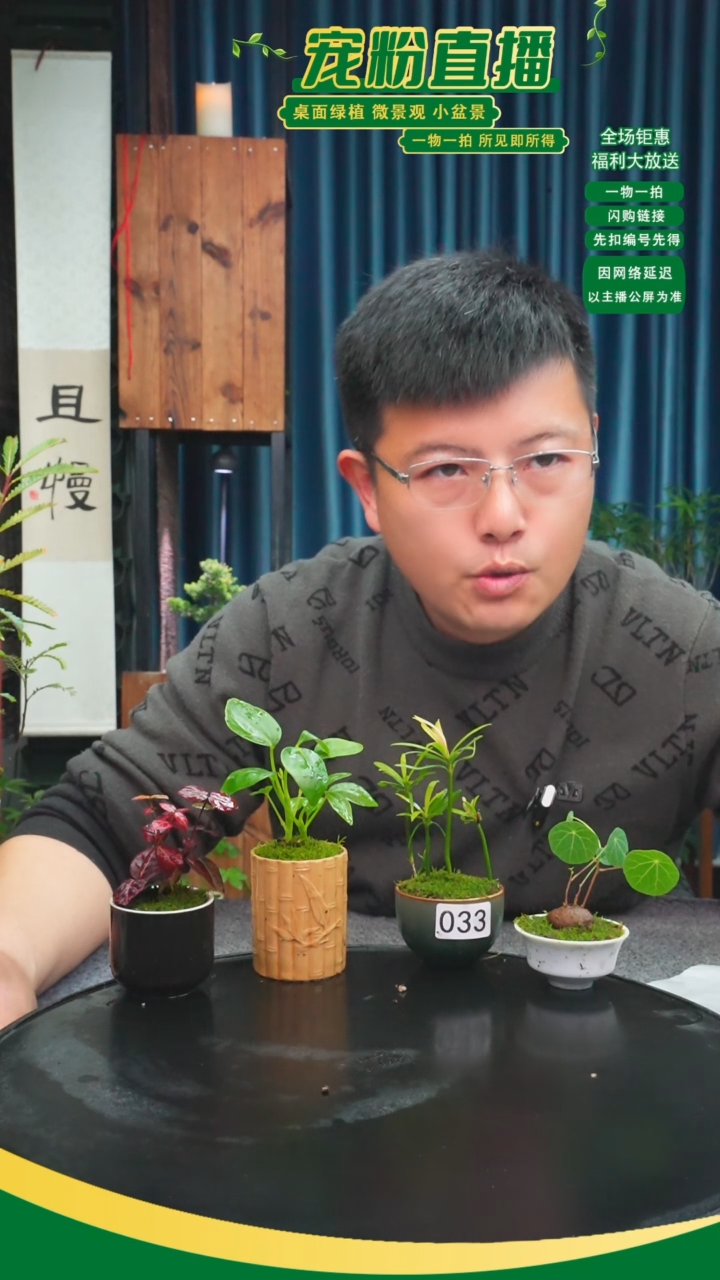 无花朵?****?苔藓微景观033号