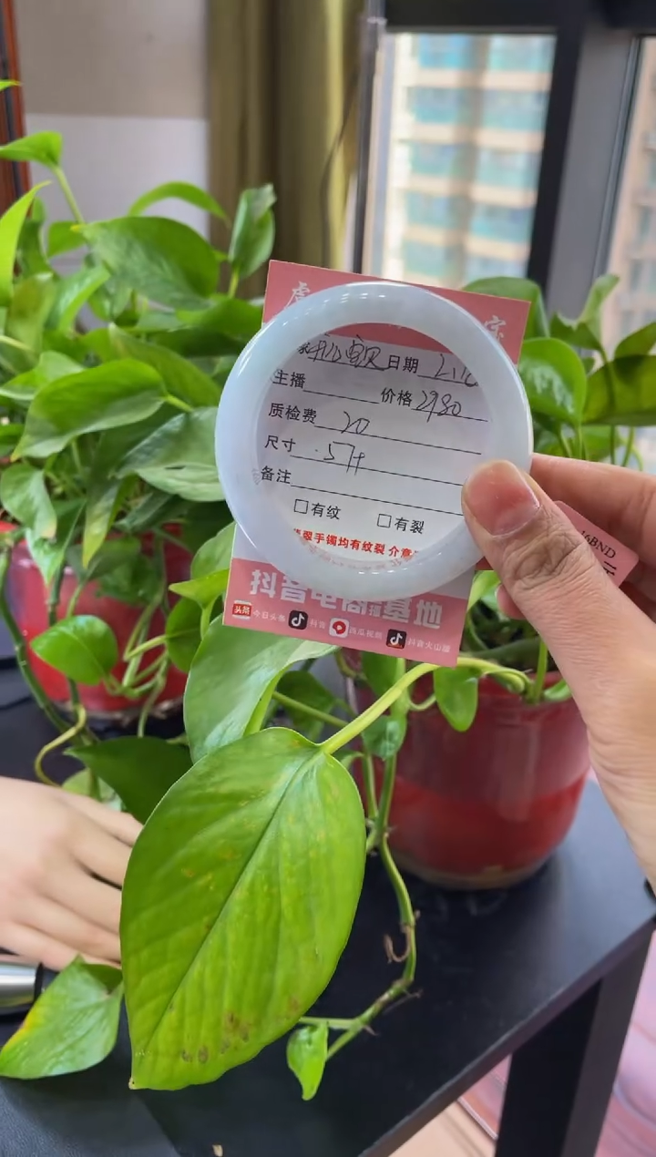 【闪购商品】翡翠手镯未镶嵌手镯