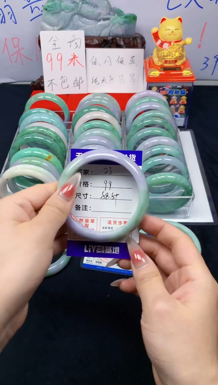 未镶嵌手镯翡翠23