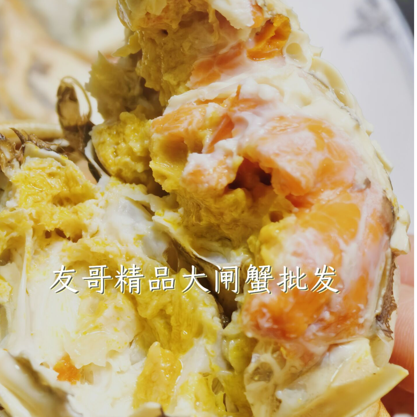 精品活蟹｜2.3-2.0两母蟹｜单只尝鲜价  固城湖大闸蟹  口感鲜甜 