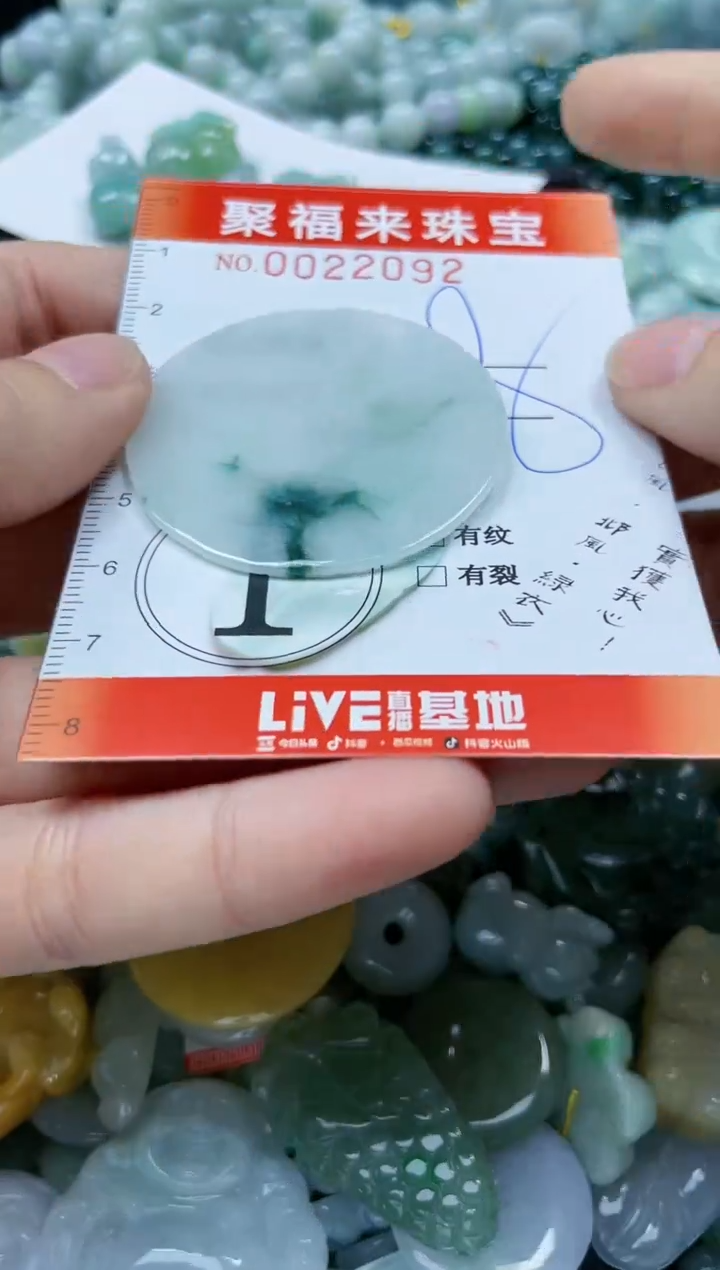 【闪购商品】翡翠颈饰未镶嵌闪购0022092