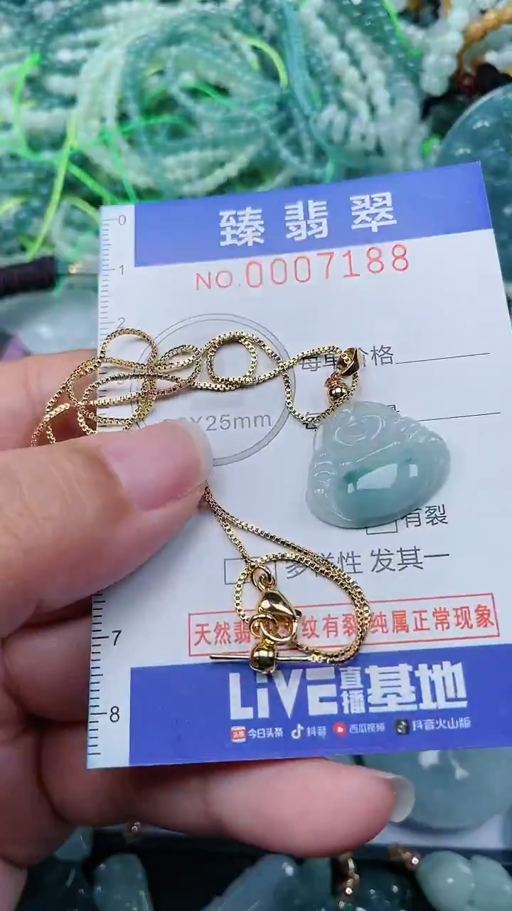 颈饰未镶嵌翡翠.0007188