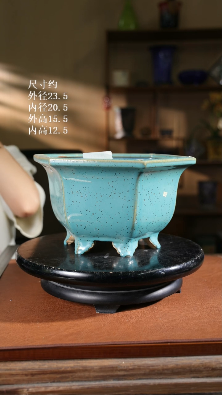 【限时买三免一活动】10寸六角盆176