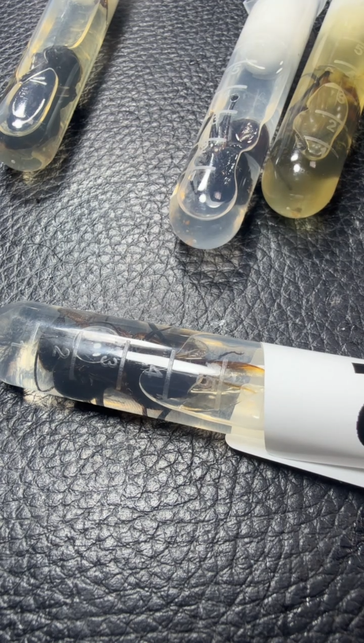 蚂蚁工坊645号巨