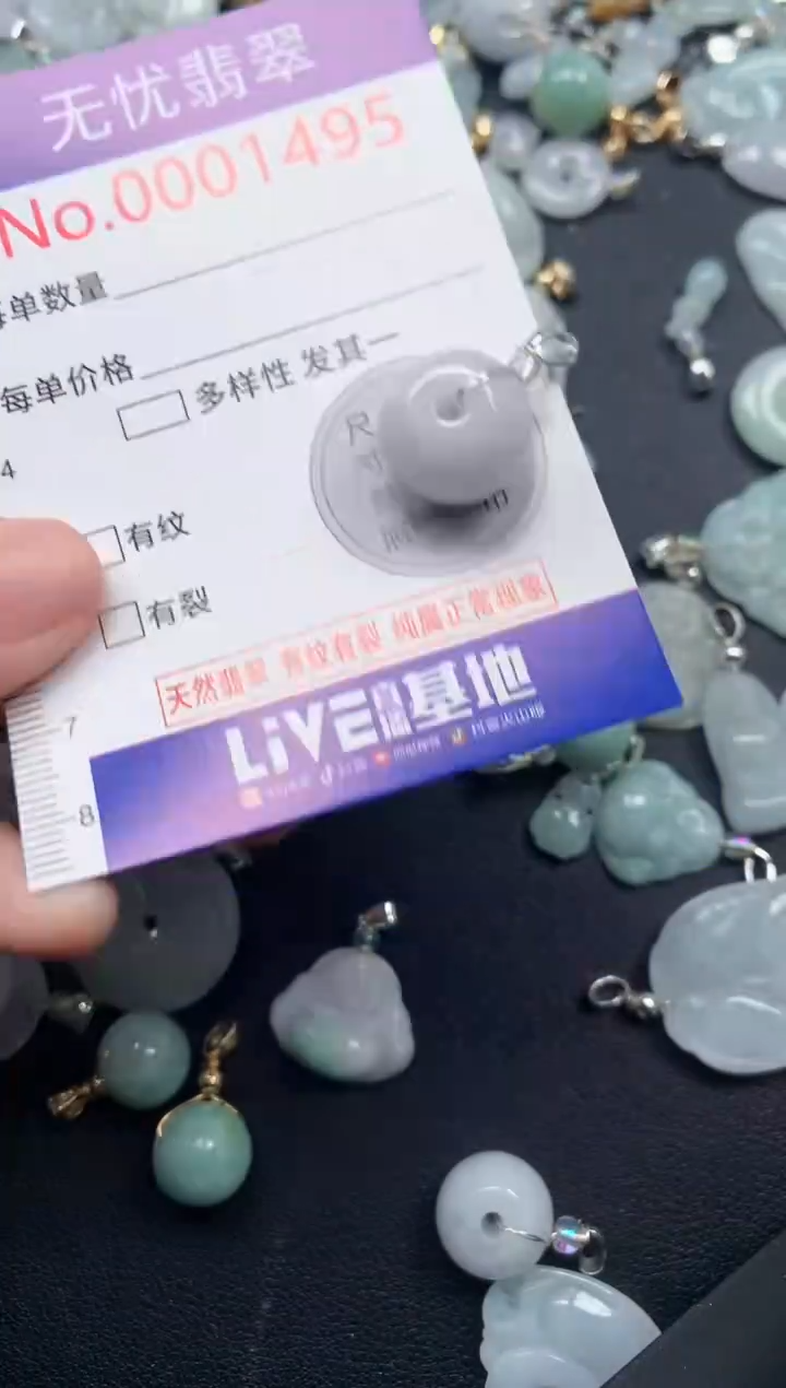 颈饰未镶嵌翡翠1495