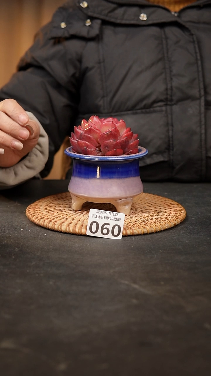 【闪购商品】瓷片060泥泥手工花盆口7