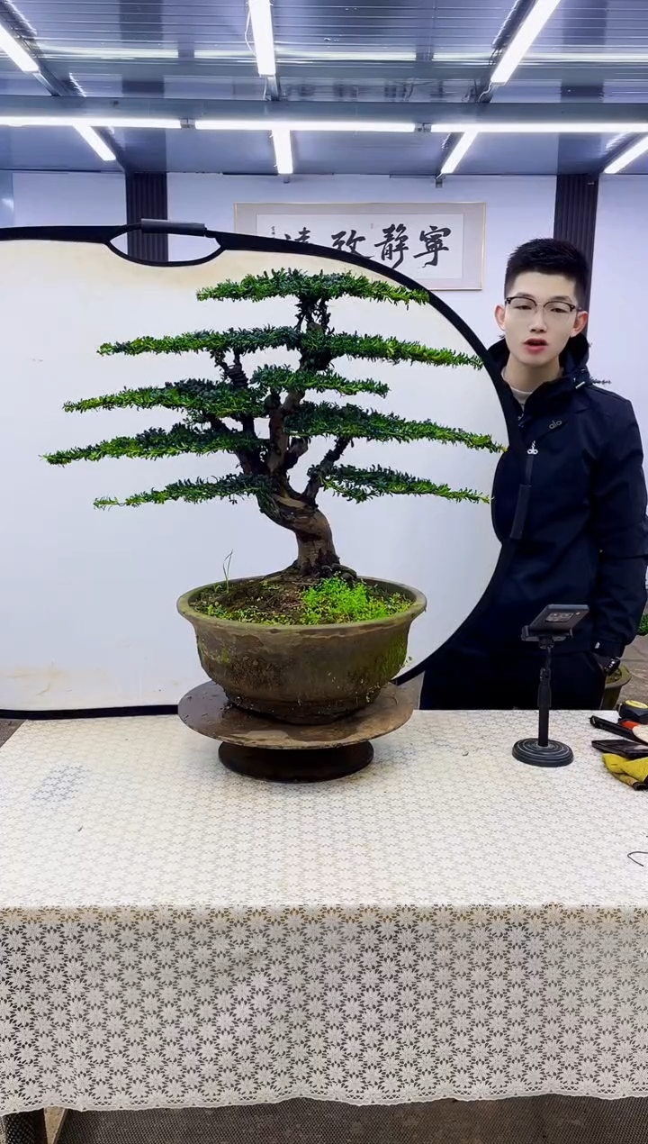 无花朵000000000000000000000