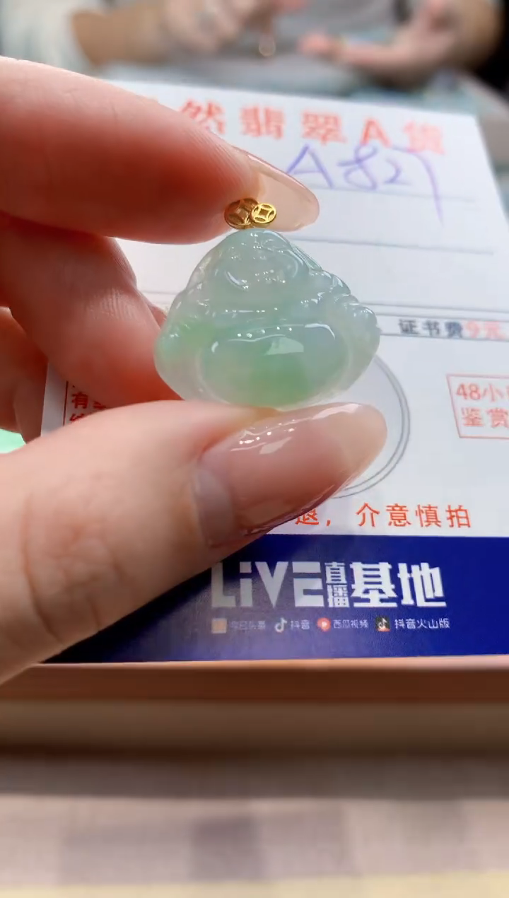 颈饰未镶嵌翡翠天然翡翠挂件  