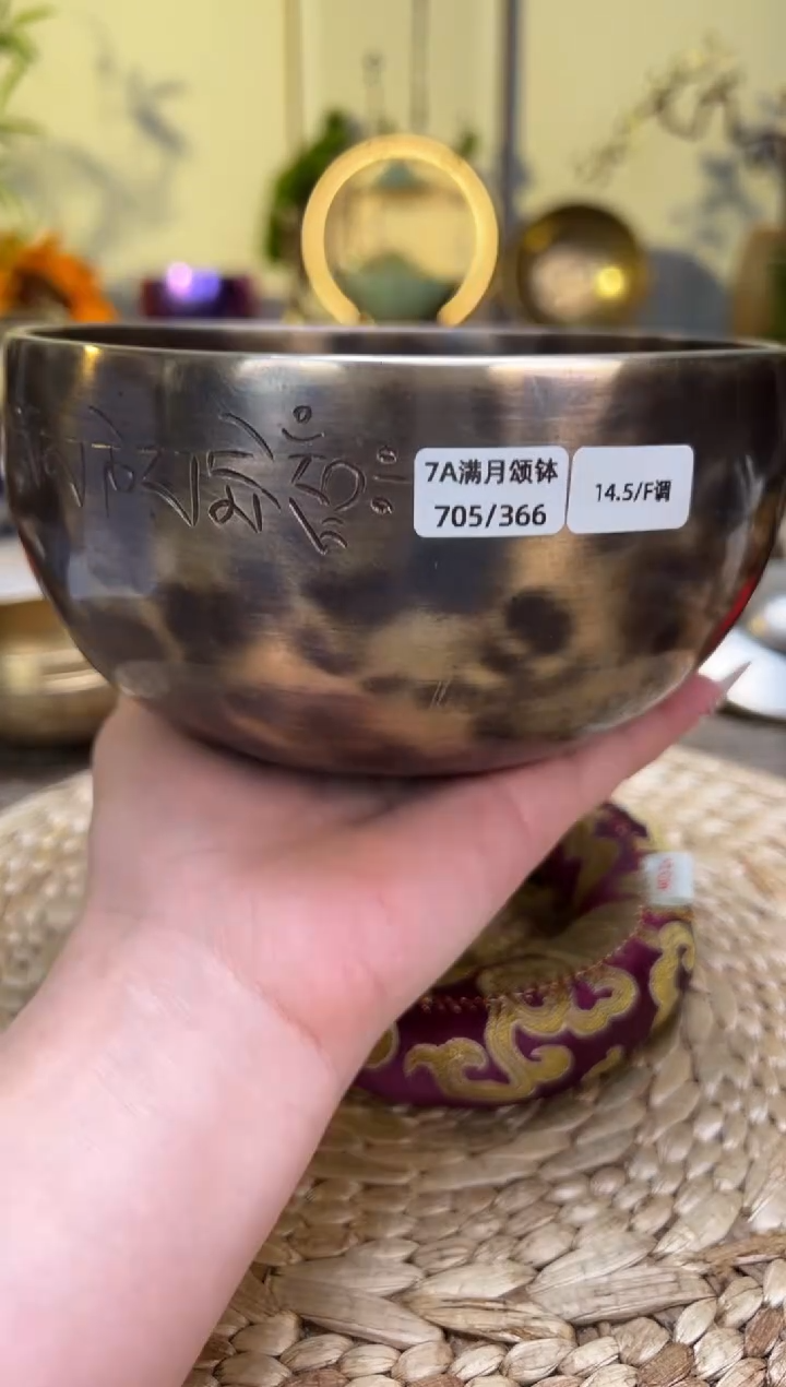 【闪购商品】满月口径14.5CM-F调（无配件）