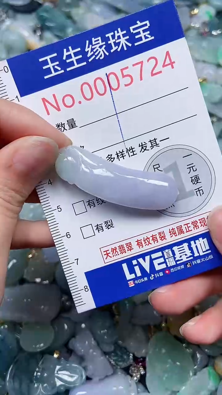 【闪购商品】翡翠颈饰未镶嵌闪购00005724