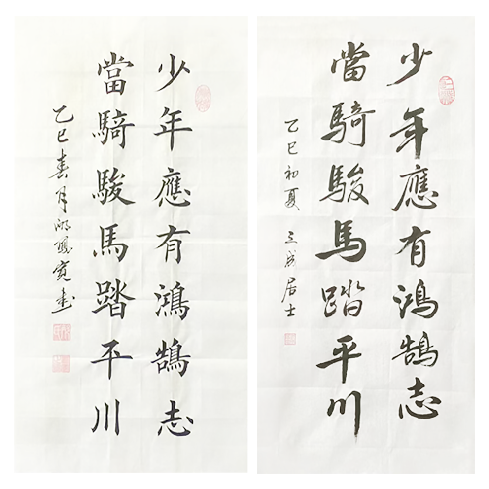 邴凤宽/三成居士老师手绘作品《少年应有鸿鹄志》70*34cm 手绘楷书
