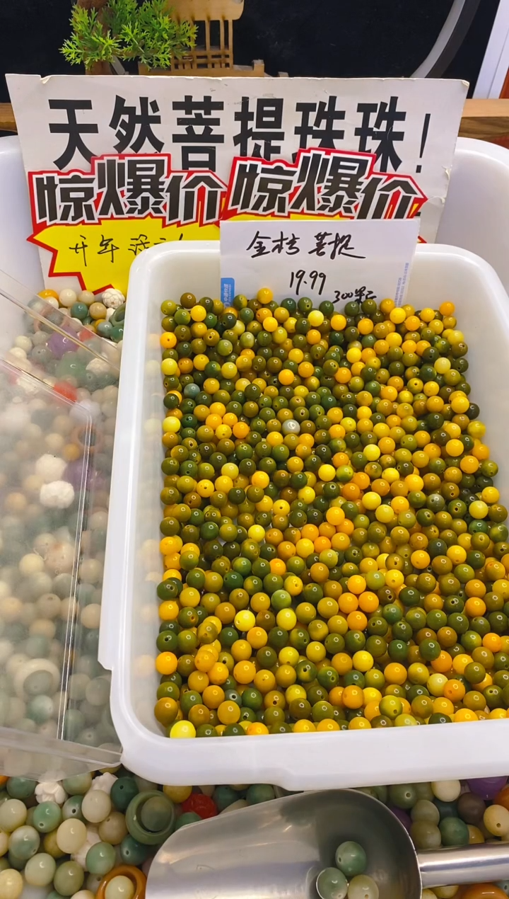 【闪购商品】菩提根/象牙果手串金桔柠檬300颗