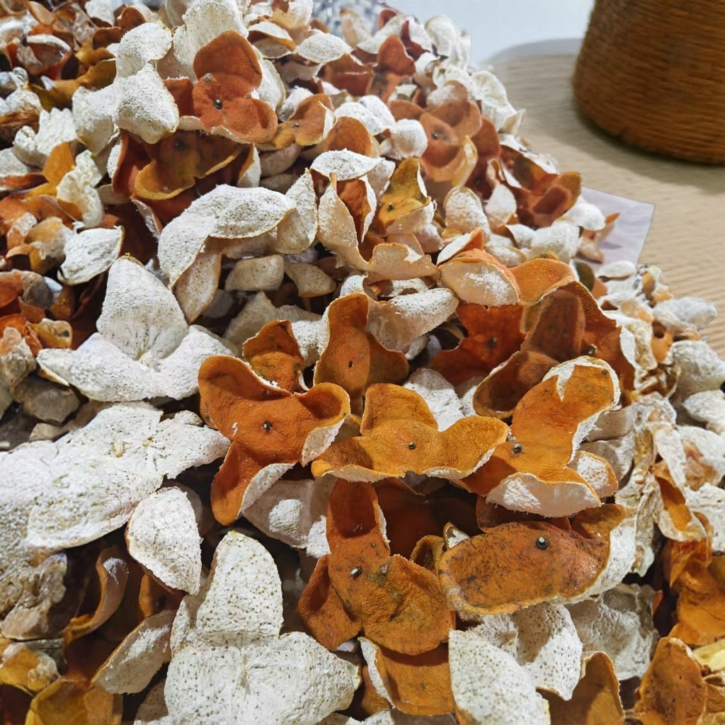 2025年新会双水大红皮