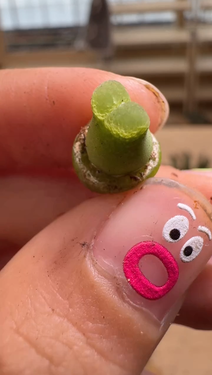 【闪购商品】16-75