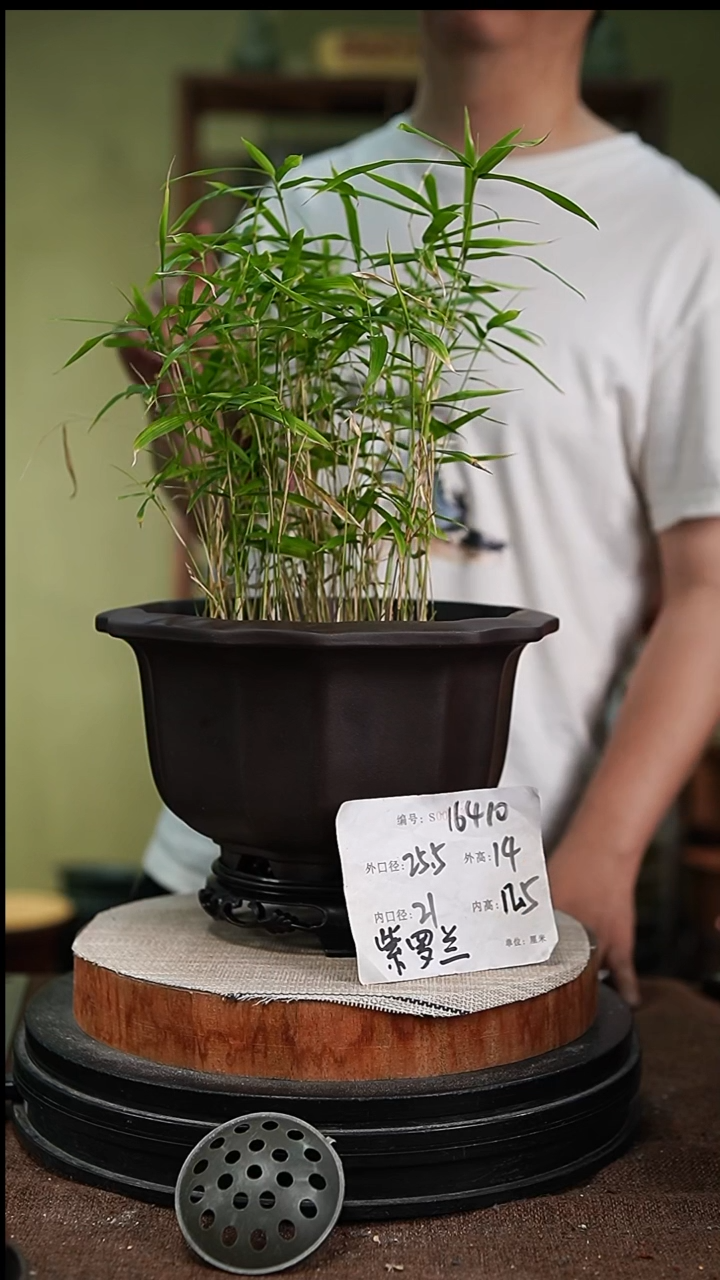 紫砂花盆紫砂花盆16410+s