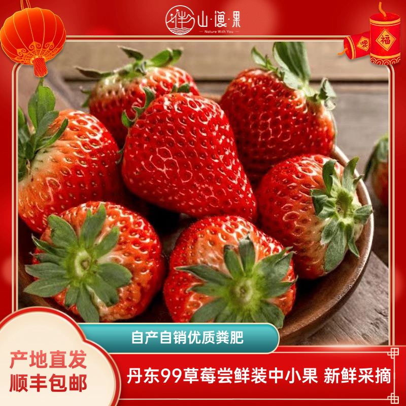【现摘现发】丹东99草莓中小果净重1.8斤顺丰空运孕妇水果坏果包赔