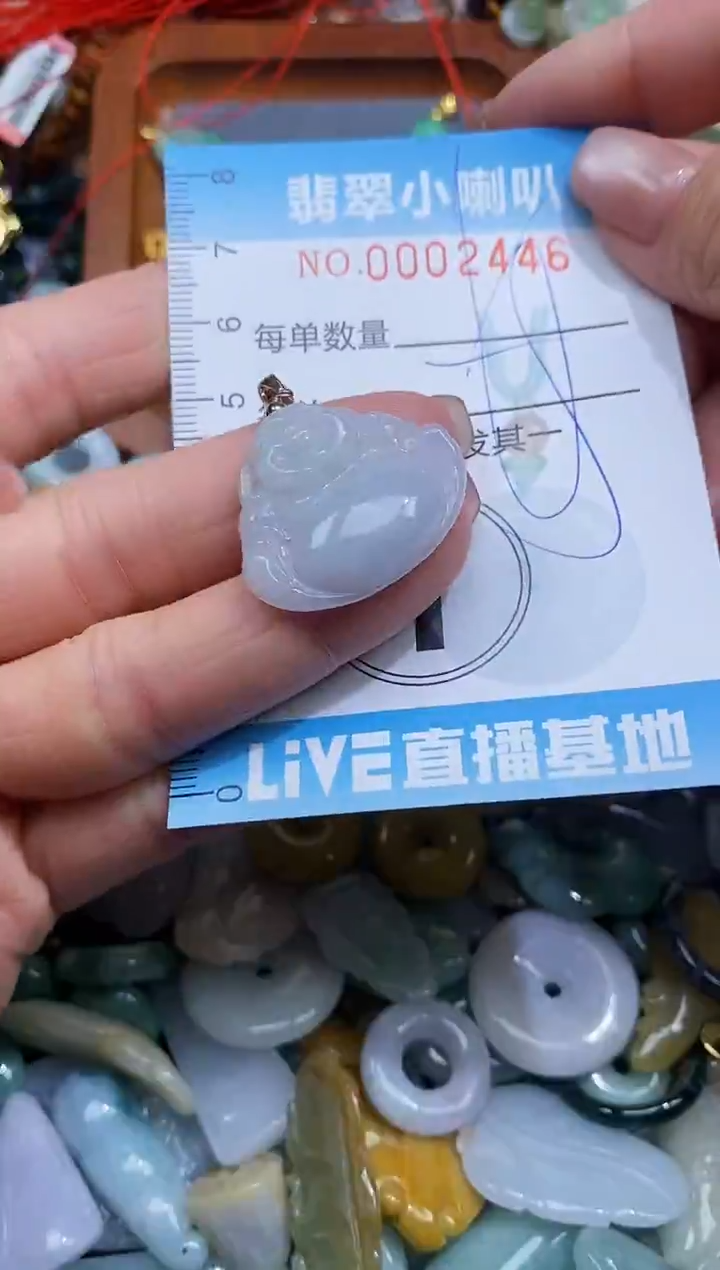 【闪购商品】翡翠颈饰未镶嵌闪购0002446