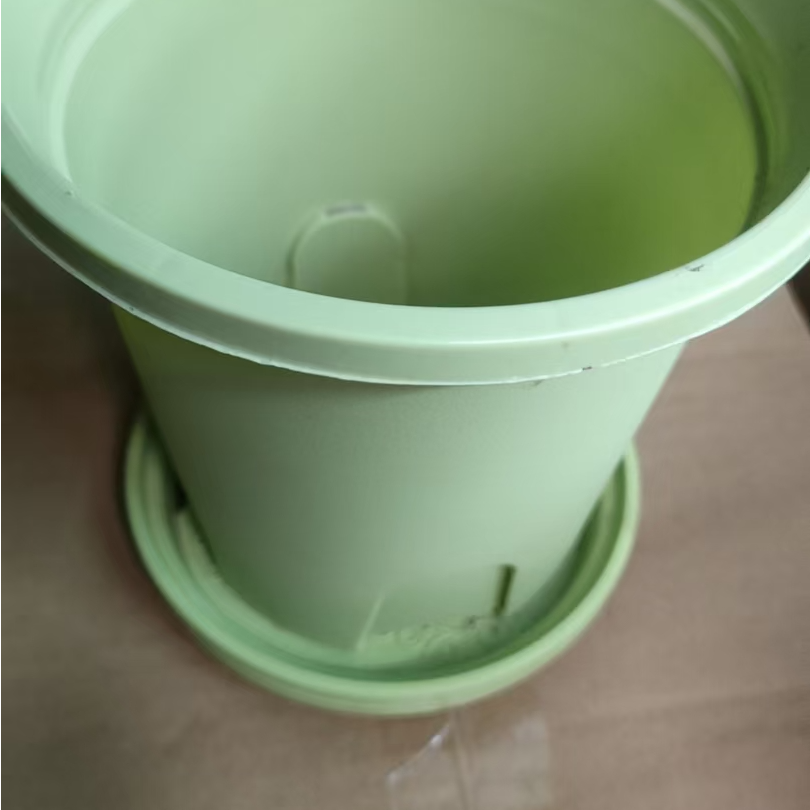 盆小林草莓福利不带托盘