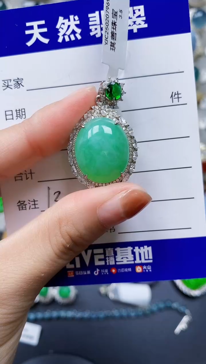 【闪购商品】翡翠颈饰银S925镶嵌0132