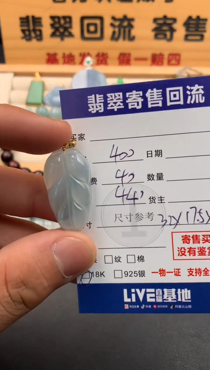 翡翠18K金镶嵌颈饰10142058