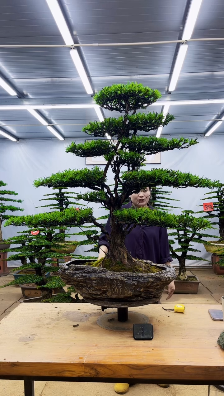 无花朵一物一拍，所见即所得