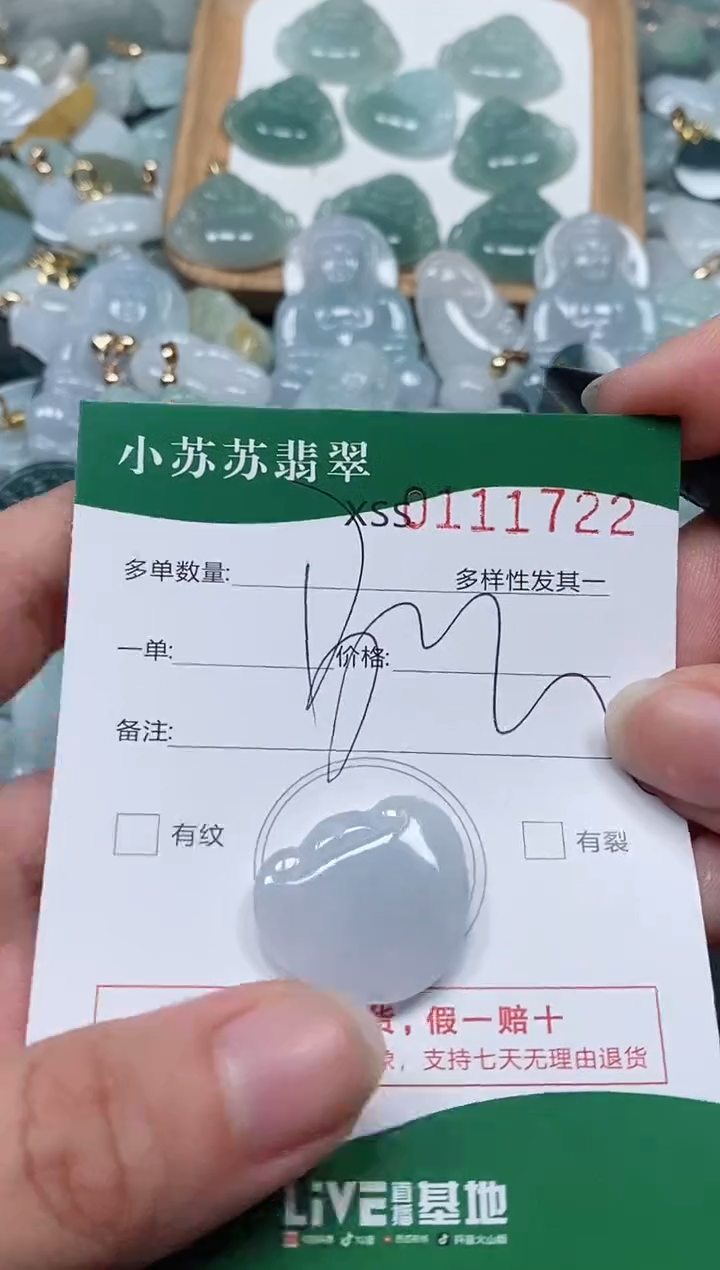 【闪购商品】翡翠颈饰未镶嵌闪购商品0111722
