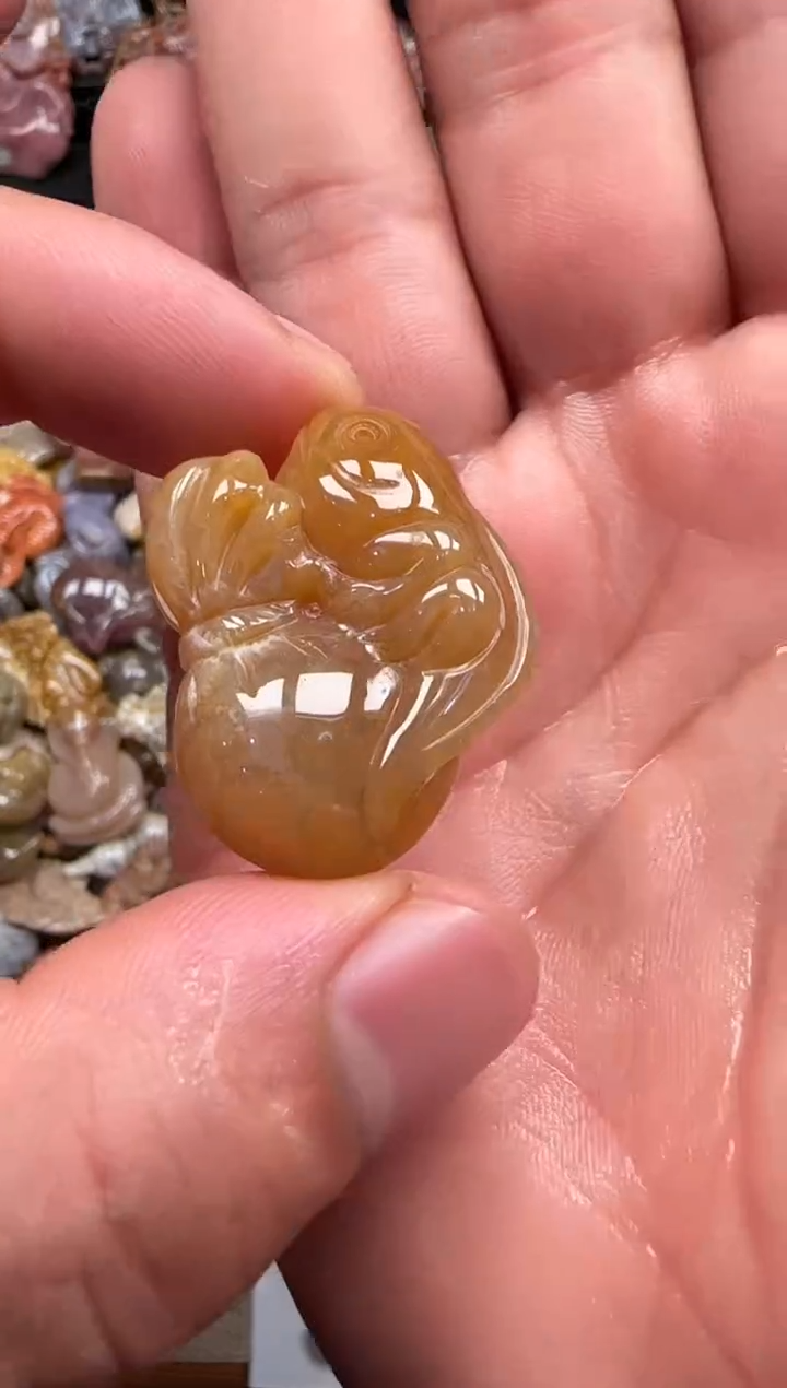 【闪购商品】硅化珊瑚（珊瑚玉）颈饰未镶嵌309