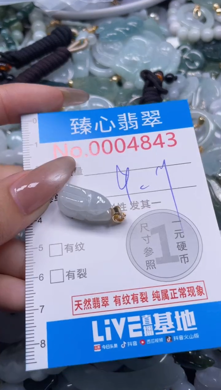 颈饰未镶嵌翡翠4843