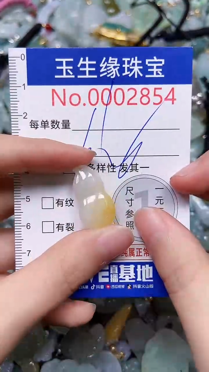 【闪购商品】翡翠颈饰未镶嵌闪购00002854