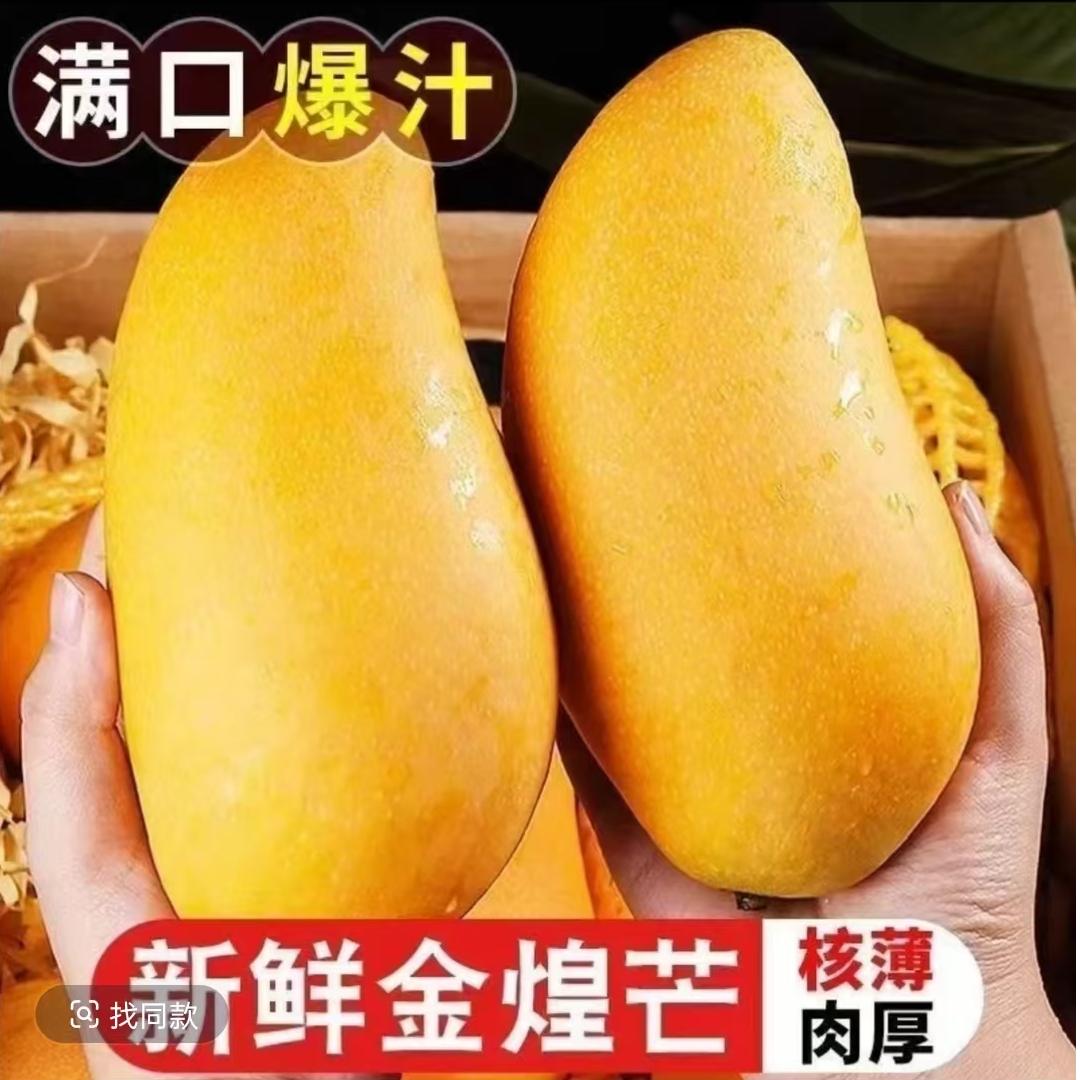 【正宗金煌芒】黄皮金煌芒新鲜采摘黄皮芒果产地直发坏果包赔