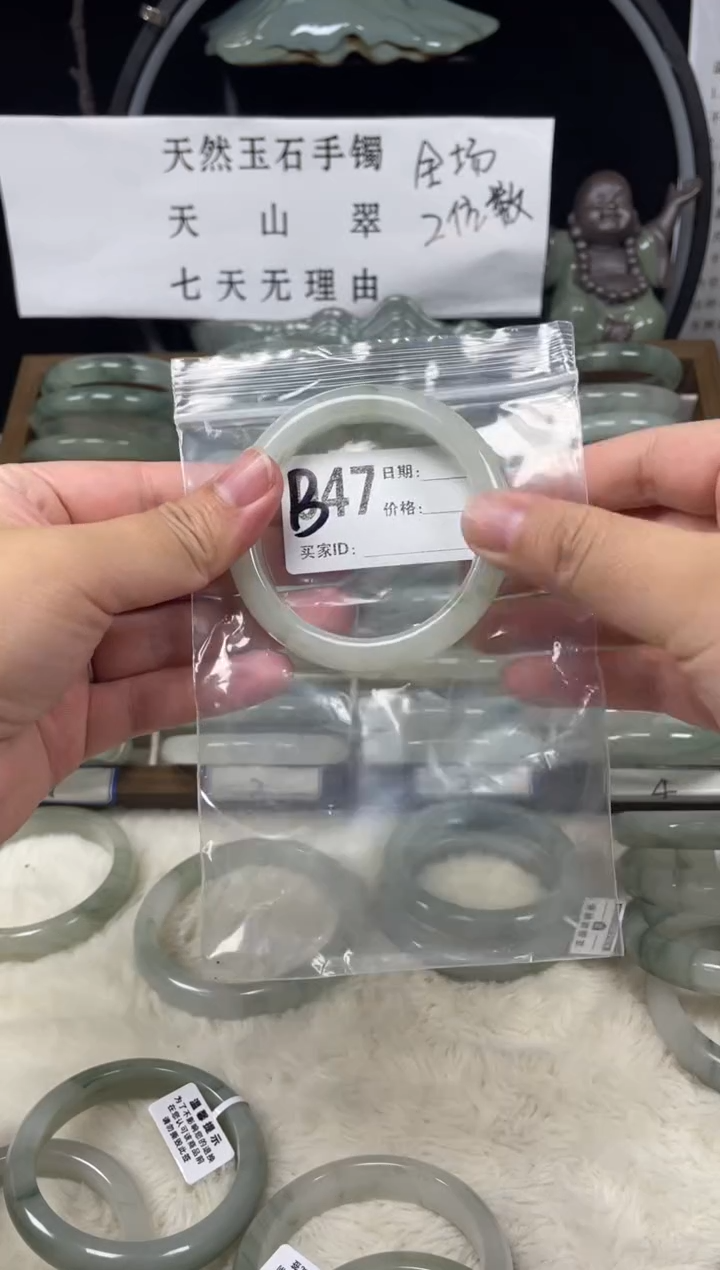 石英质玉（天山翠）手镯未镶嵌B47