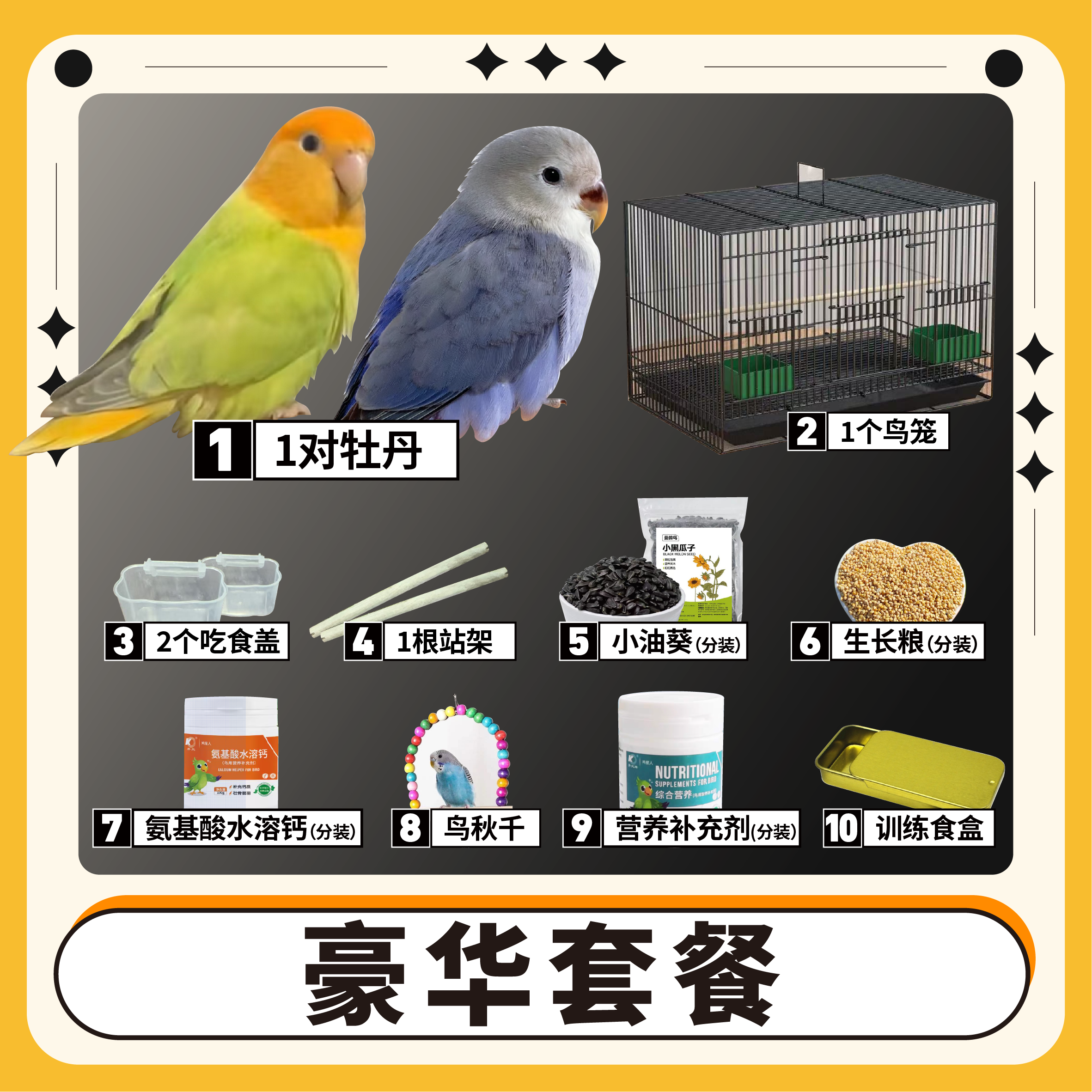 【豪华套餐】+1对牡丹鹦鹉