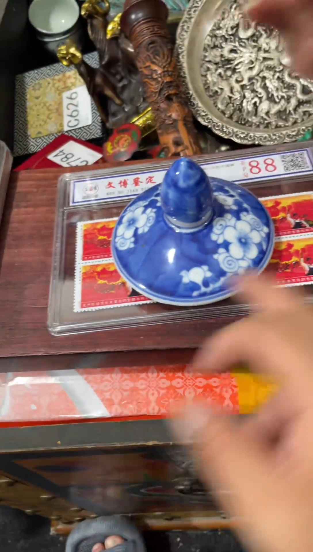 瓷片主播推荐精选好物