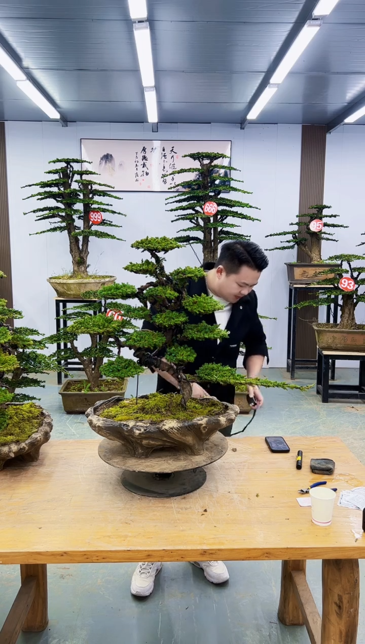 以实际为准用****000000000