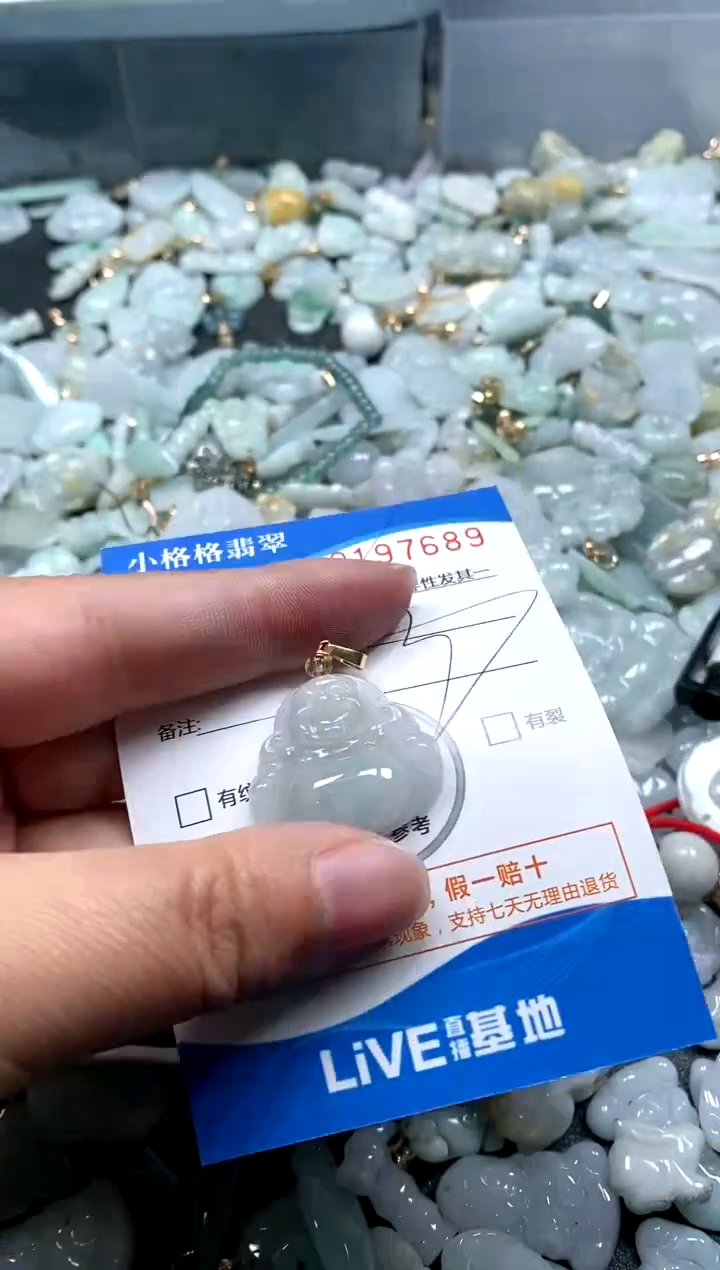 【闪购商品】翡翠颈饰未镶嵌闪购商品0197689