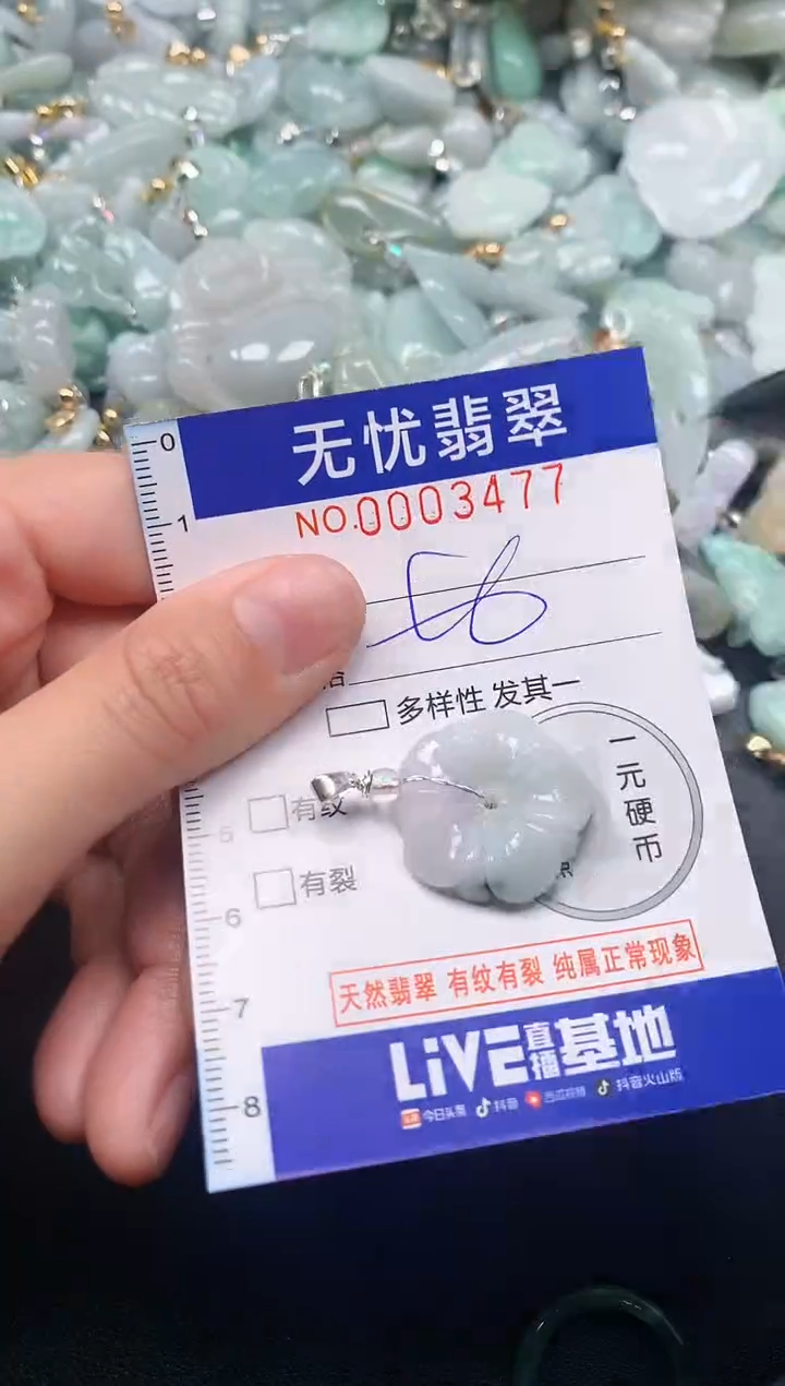 颈饰未镶嵌翡翠3477