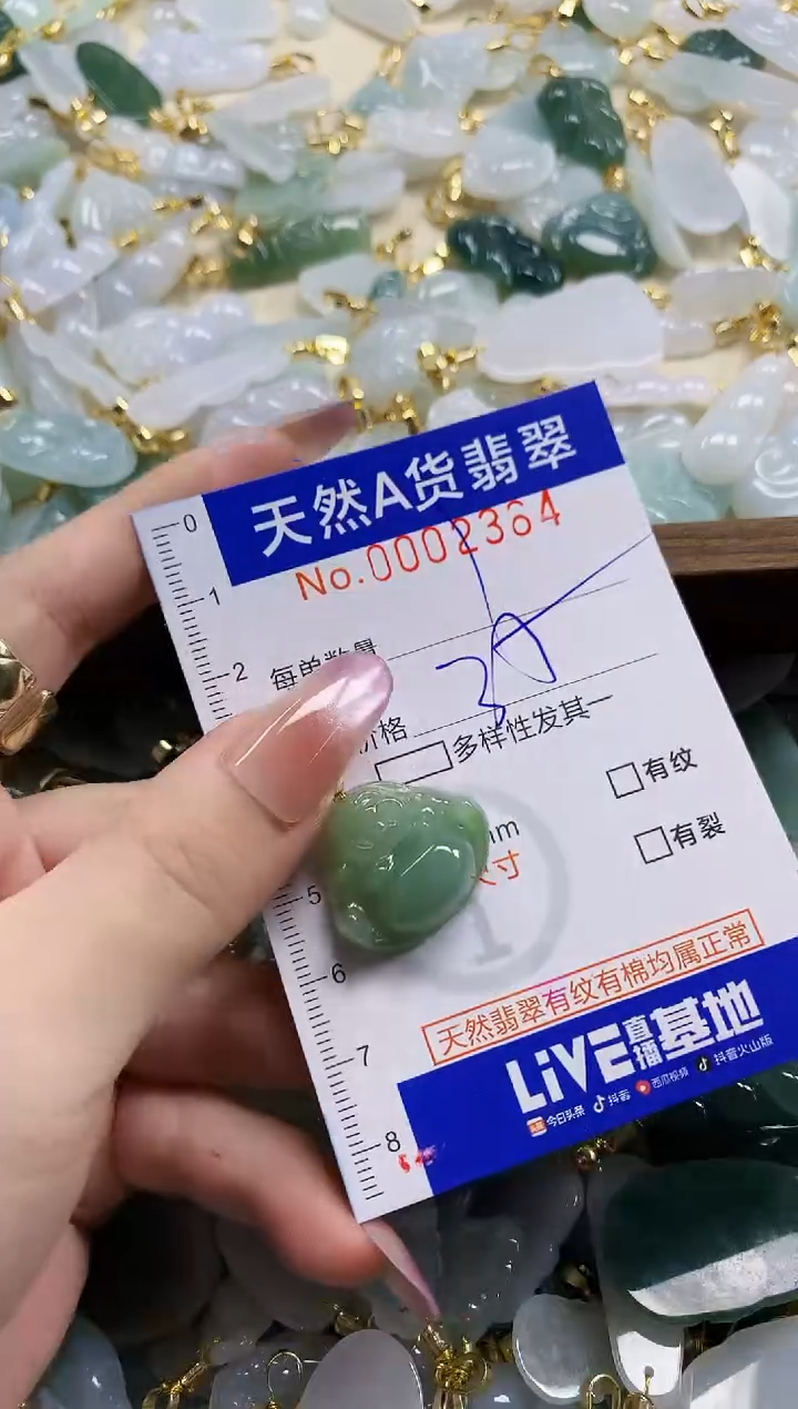 颈饰未镶嵌翡翠天然A货翡翠