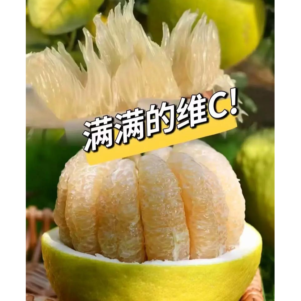 【中果尝鲜装】正宗梅州沙田柚老树孕妇新鲜水果纯甜不酸