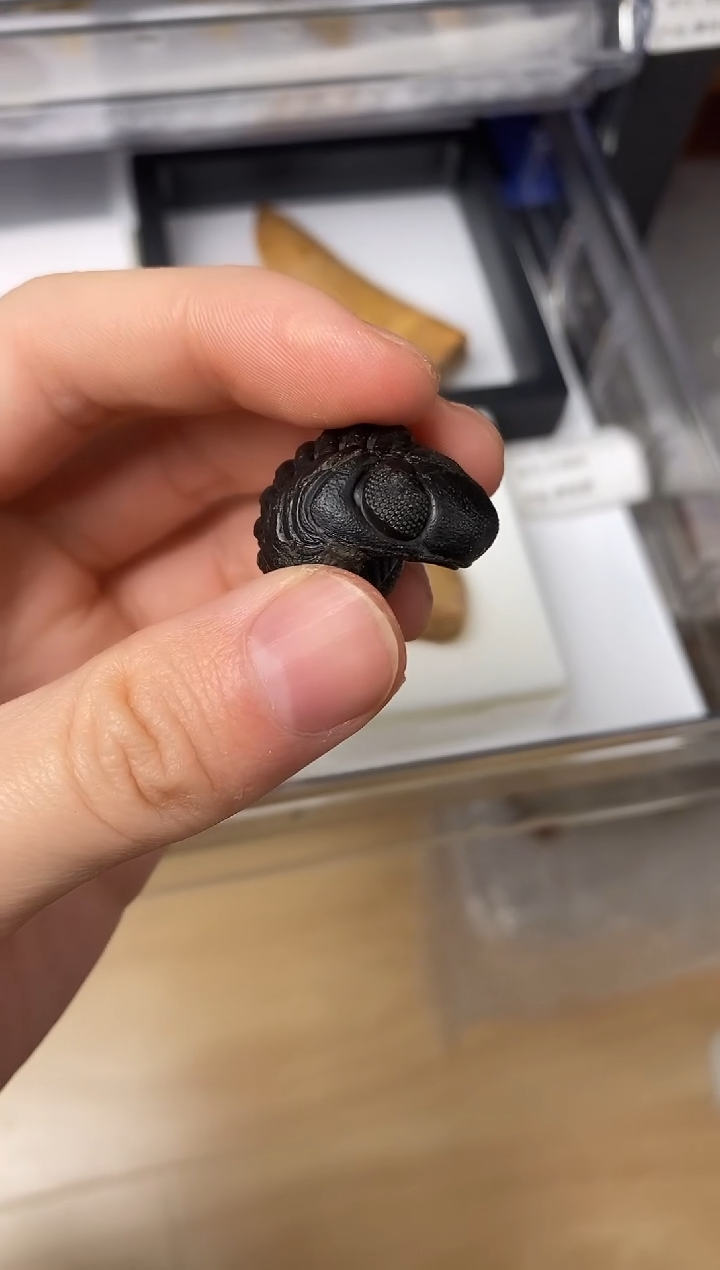 精美摆件创意礼物家居配饰新年礼物个人收藏