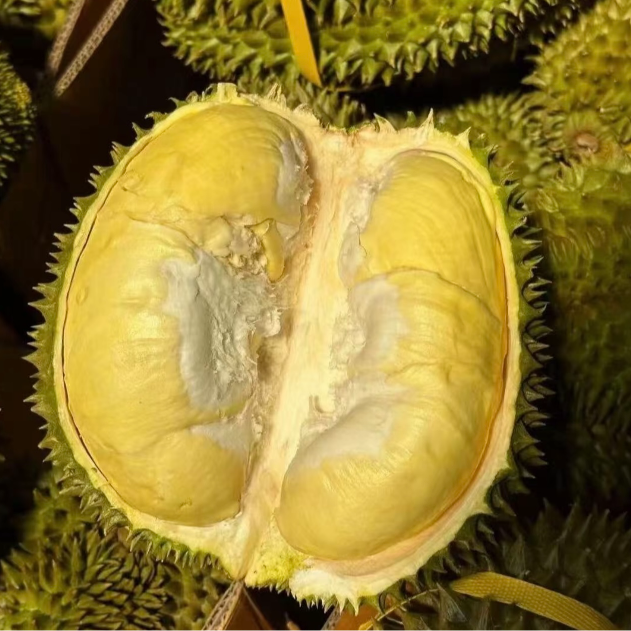 泰国树熟金枕鲜榴莲现开1-3斤净肉 软糯香甜口感绵密 核小 哈尔滨同城配送金枕泰国