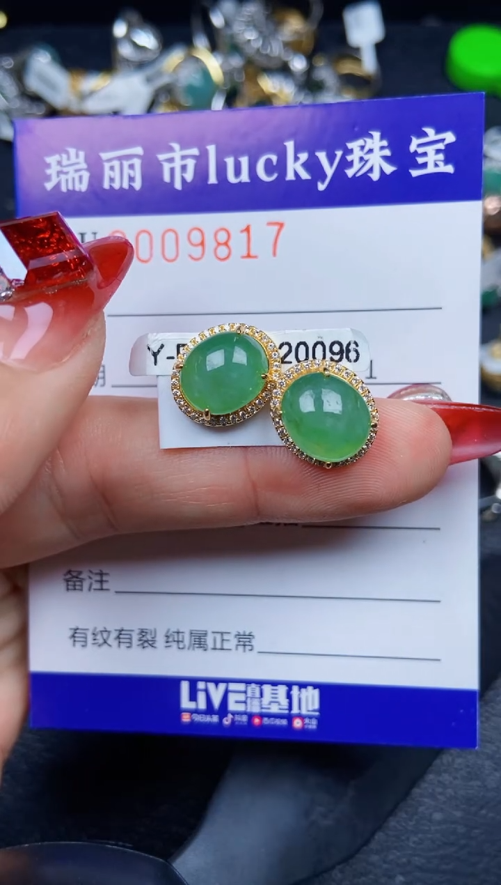 【闪购商品】翡翠颈饰银S925镶嵌9817